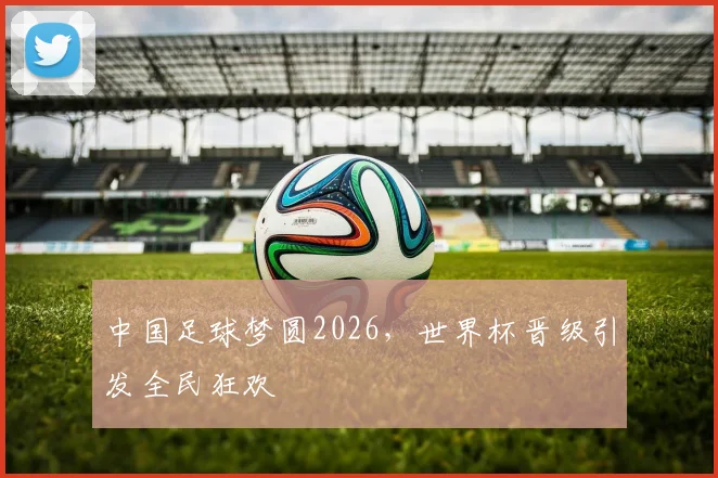 中国足球梦圆2026,世界杯晋级引发全民狂欢